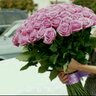 khuloud_5's profile picture. بالاستغفار : سـ تسعدون ، سـ تنعمون ، سـ ترزقون من حيث لا تـعلمون ..! أستغفر اللّه العظيم وأتوب إليه