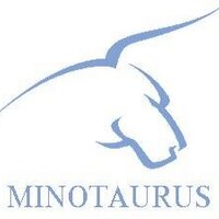 Minotaurus usinagem (@minotaurus10) 's Twitter Profile