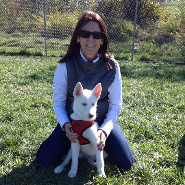 alisonrussel08's profile picture. 