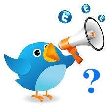 Quieres Enlazar tu cuenta de Twitter con nuestra Web ?