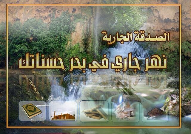 فولومي = فولوباك،،، #ريتويت_للأجر
