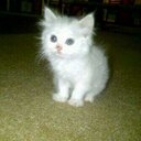 .... (@0560357940mw) Twitter