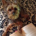 Paula Ericson - @ericsonpm9 - Twitter