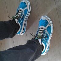 Gerard van Zelst (@twitgvz) 's Twitter Profile Photo