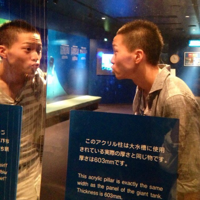 bsk21nino's profile picture. なにをしたらいいのかわからない