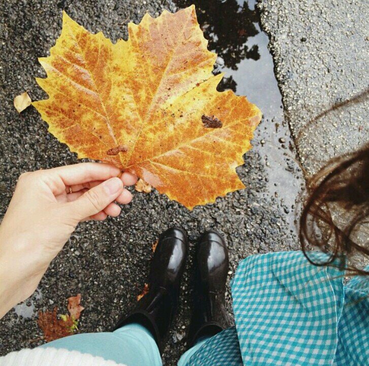 gebicikopuverem's profile picture. destroy what destroys you