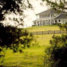 50 acre Exquisite Equestrian Estate. Your full service venue, nestled in the rolling hills & lush greens of Dade City, Fl. Just 40 mins outside of Tampa.
