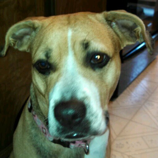 lonely_1968's profile picture. If you are related to me or know me personally please don't follow. I need deniability. If you DM me I will reply.