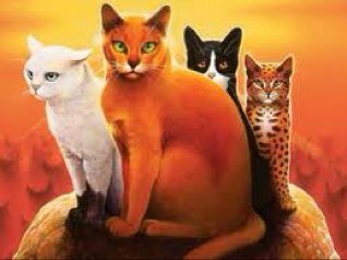 I am Firestar the leader of Thunder Clan I will defend my clan with my life.. The prophecy states that 3 kin of my kin will hold the power of the stars in them