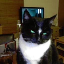 I am the God of Hellfire and I bring you....Custard Cream, anyone?