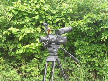 LocalFoodRoots's profile picture. Documentary film chronicling the emergence of the local food movement: the pioneers, motivations, diversity, challenges and opportunities for the future.