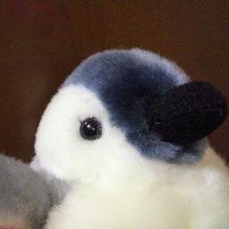 ピカチュウ 荒ぶる会 On Twitter 暴走族に当てられてバックライト少々破損 保険申請のため警察署にいるけど 薄暗いし留置所見えるし手錠 かけられた人が連行されてるしで怖すぎ