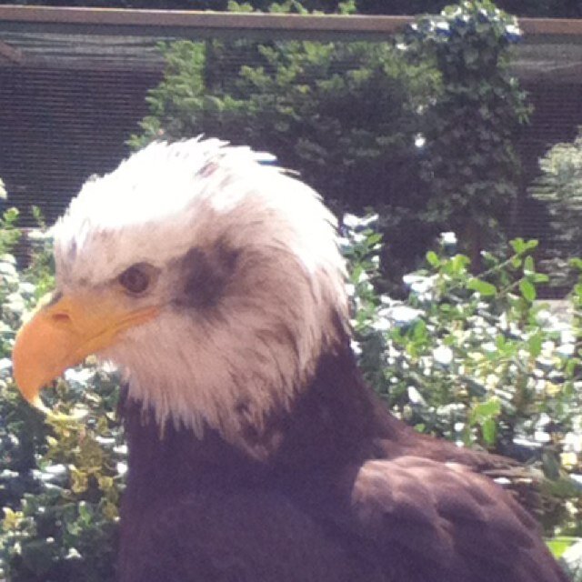 FDziubek's profile picture. 