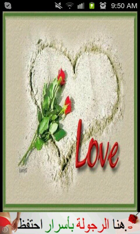 radoy2011's profile picture. 