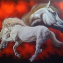 Venus Rosa - @venusroza - Twitter