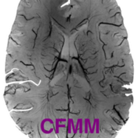 CFMM (@westerncfmm) 's Twitter Profile