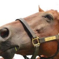 Stephanie L Benoit (@pointgiven2001) 's Twitter Profile