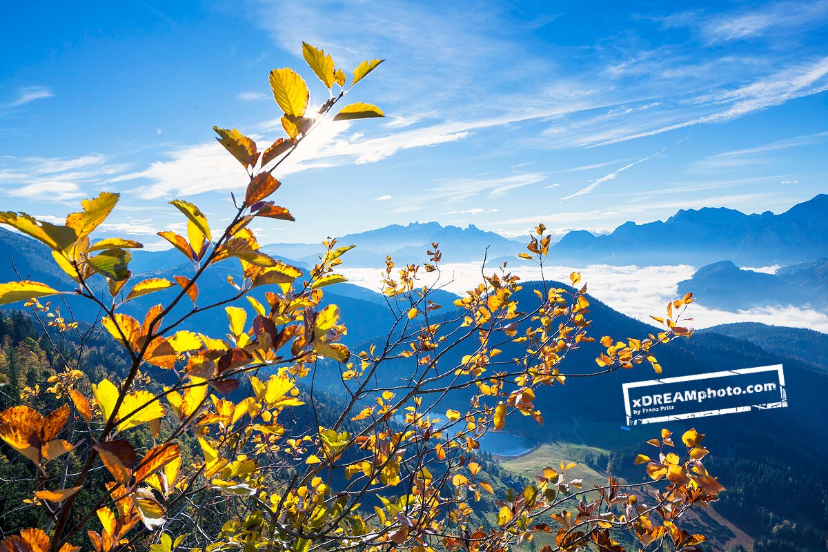 landscape photographer,mountain guide, grandfather and nature enthusiast