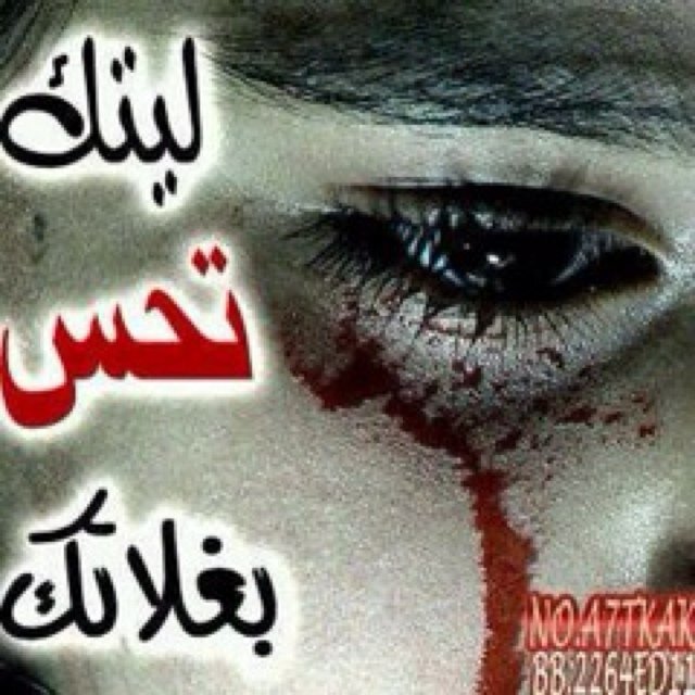 (رقم البن       762a768d)