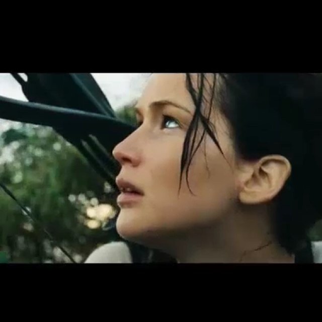 love all things dystopian *currently living in district twelve* okay? Okay.