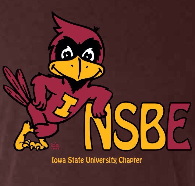 Iowa State Chapter of the National Society of Black Engineers