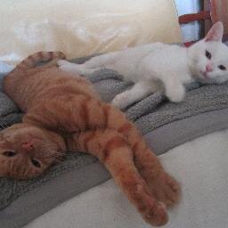 blanchlucie's profile picture. je suis ici pour voit les actualité et pour pas faire des rencontre en amitié