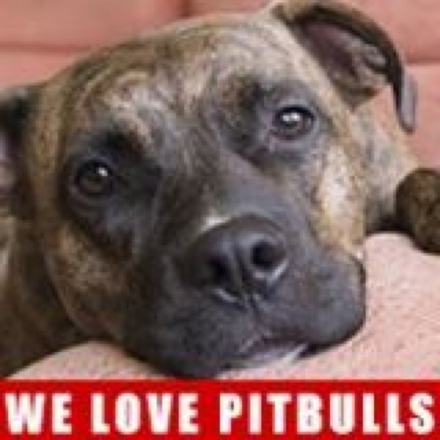 We are lovers, not fighters! Follow us :D
Help us end BSL!!!