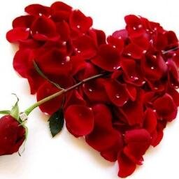 GalySamonova1's profile picture. 