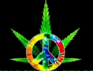 I FOLLOW BACK 100% ;))#teamPurpleWorld
