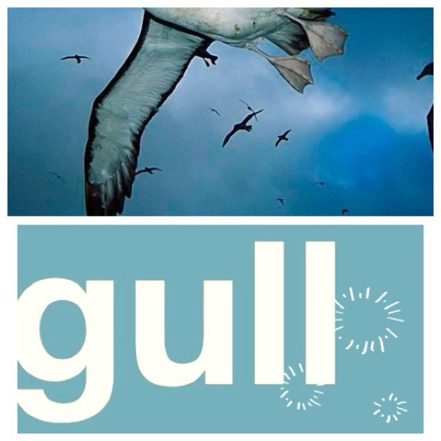 ☆GULL COMPANYの公式ツイッターです☆
