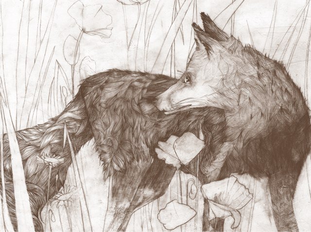 Graphiste illustrateur