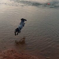 Kemp Anderson (@kempanderson) 's Twitter Profile