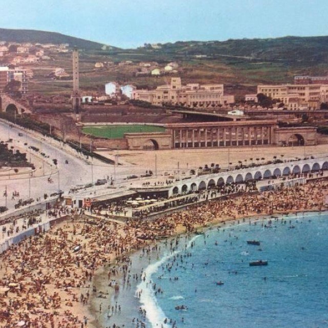VOLTAREMOS