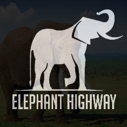 We are a nonprofit organization that raises awareness of the plight of elephants, and sells unique merchandise to raise funds for elephant conservation.