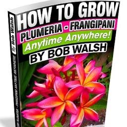 Author of Step-by-Step Plumeria Care Guide, How To Grow Plumeria - Frangipani Anytime Anywhere!, and  Plumeria - Frangipani Pflegeratgeber Für Alle Klimazonen.