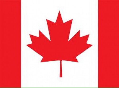 SenateEmails's profile picture. Are these excerpts from Senate emails? No, definitely not.