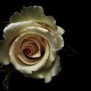 Charlene Close - @closecmc - Twitter