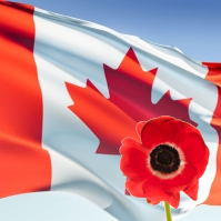 DavidFox_Canada's profile picture. A lover of democracy, activism & genuine political freedom in Canada & around the world. Rights are lost if they are not used.