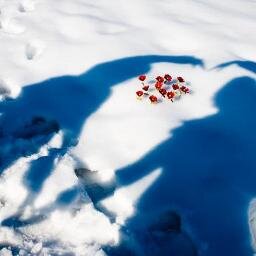 jperezstew's profile picture. No estoy en peligro, Skyler, yo soy el peligro. Si llaman a la puerta de un hombre y le disparan, ¿piensas que ese seré yo? ¡No! Yo soy el que llama