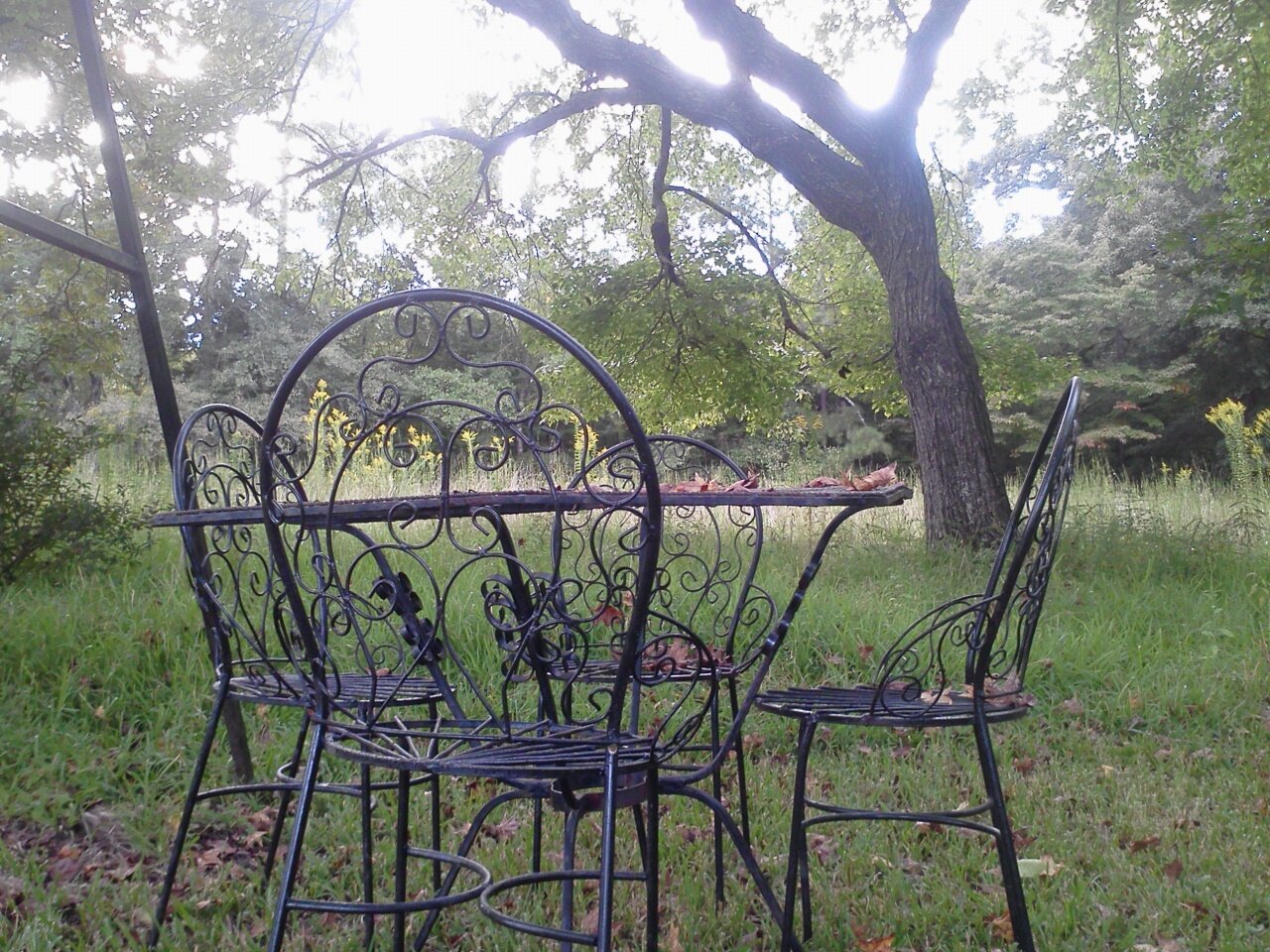 nickleodean's profile picture. something clever