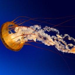 LasVegasPoker2's profile picture. The best damn breadman/poker player/deep sea fisherman/ on the planet