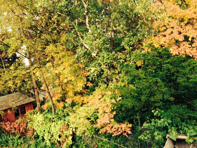 Hippiebitch__'s profile picture. .