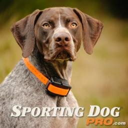 Hunting Dog Training Supplies
