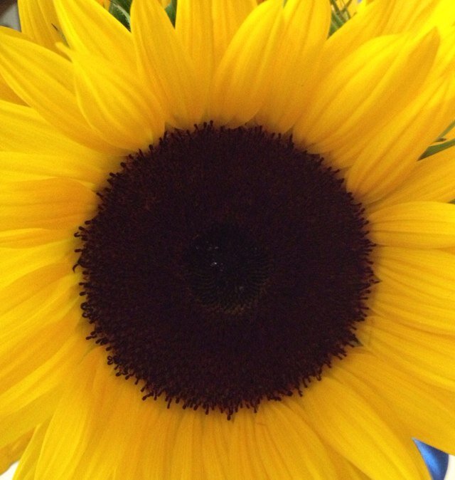 HLFoley's profile picture. 