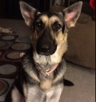 CynthiaM47's profile picture. Avid reader, occasional writer, artist, and enthusiastic seeker of knowledge