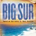 Big Sur Movie (@bigsurmovie) Twitter profile photo