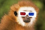 Hi everyone, I'm Joe.
I'm a 3D enthusiast who wants to share some original 3D content with everyone who bought 3D TV's, monitors or projectors in the latest 3D
