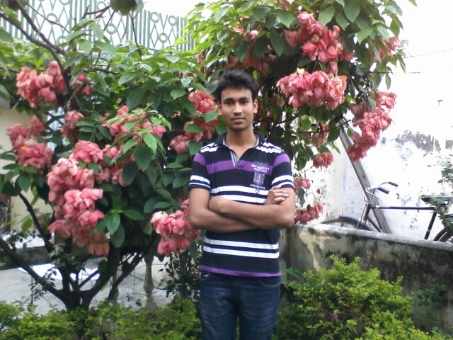 pavitrakumar10's profile picture. 