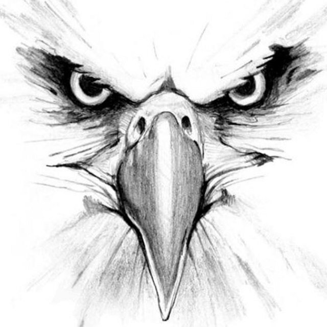 FCEagleBaseball's profile picture. Franklin County High School Baseball