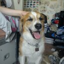 David McGlynn - @dmcg276 - Twitter